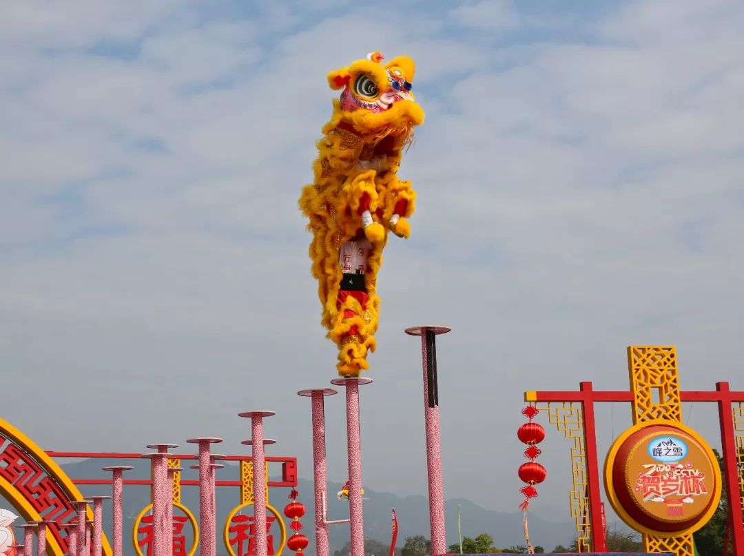 江苏龙狮迎战激烈，教练展望未来的简单介绍