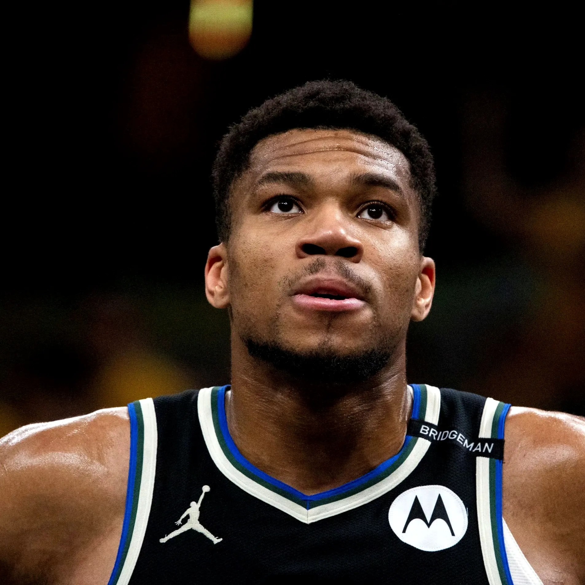 雄鹿轻松胜猛龙，字母哥全场发威